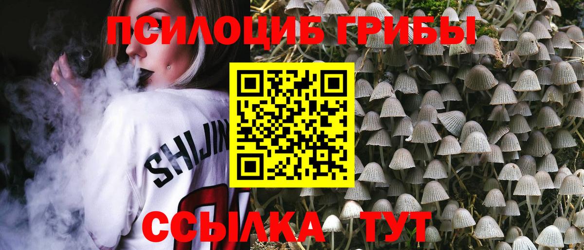 Галлюциногенные грибы мицелий Бахчисарай